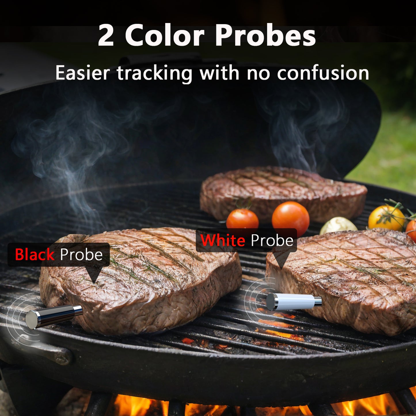 BF-60 Twin Probe Wireless Meat Thermometer