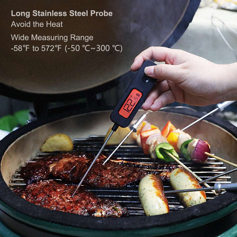 BF-10 Instant Read Meat Thermometer