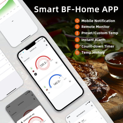 BF - 5 Multi - Probe Meat Thermometer - BFOUR